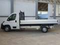 Fiat Ducato 35 LH1 2.3 mjt 140cv Cassone Aperto Blanc - thumbnail 4