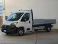 Fiat Ducato 35 LH1 2.3 mjt 140cv Cassone Aperto Blanc - thumbnail 3