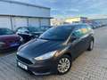 Ford Focus Turnier EcoBoost Trend*MFL*BT*SH* Gris - thumbnail 37