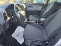 SEAT Leon Style 1,0 EcoTSI Start-Stopp Weiß - thumbnail 14
