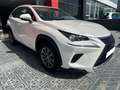 Lexus NX 300 300h Business Navigation 2WD Blanco - thumbnail 1