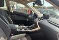 Lexus NX 300 300h Business Navigation 2WD Blanco - thumbnail 18