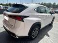 Lexus NX 300 300h Business Navigation 2WD Blanco - thumbnail 4