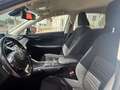 Lexus NX 300 300h Business Navigation 2WD Blanco - thumbnail 17