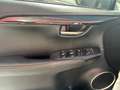 Lexus NX 300 300h Business Navigation 2WD Blanco - thumbnail 20