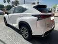 Lexus NX 300 300h Business Navigation 2WD Blanco - thumbnail 6