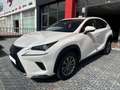 Lexus NX 300 300h Business Navigation 2WD Blanco - thumbnail 3