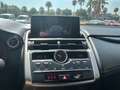 Lexus NX 300 300h Business Navigation 2WD Blanco - thumbnail 12
