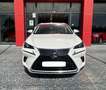 Lexus NX 300 300h Business Navigation 2WD Blanco - thumbnail 2