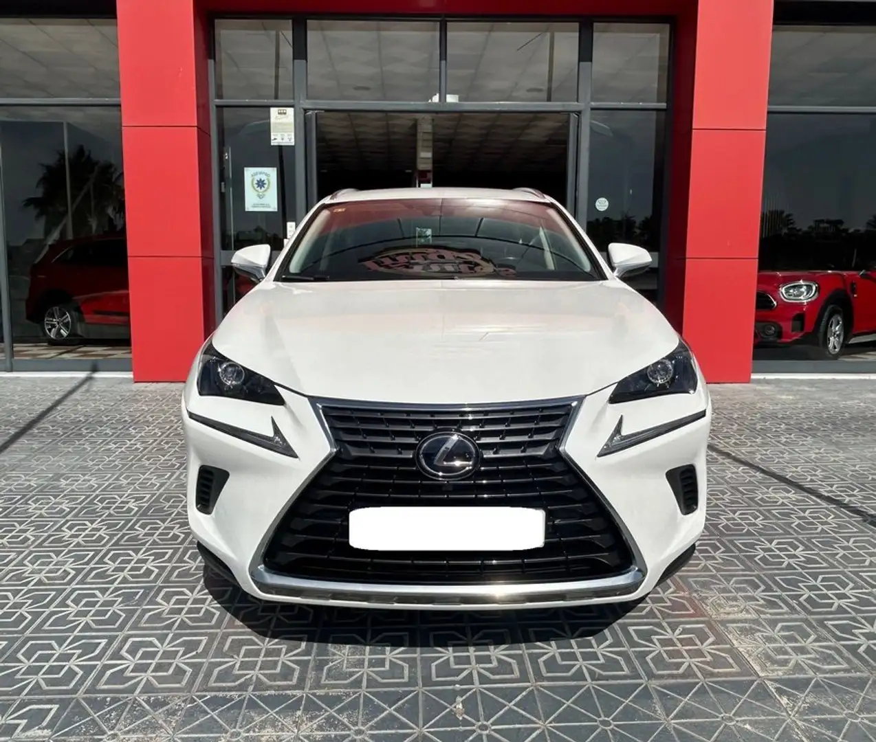 Lexus NX 300 300h Business Navigation 2WD Blanco - 2