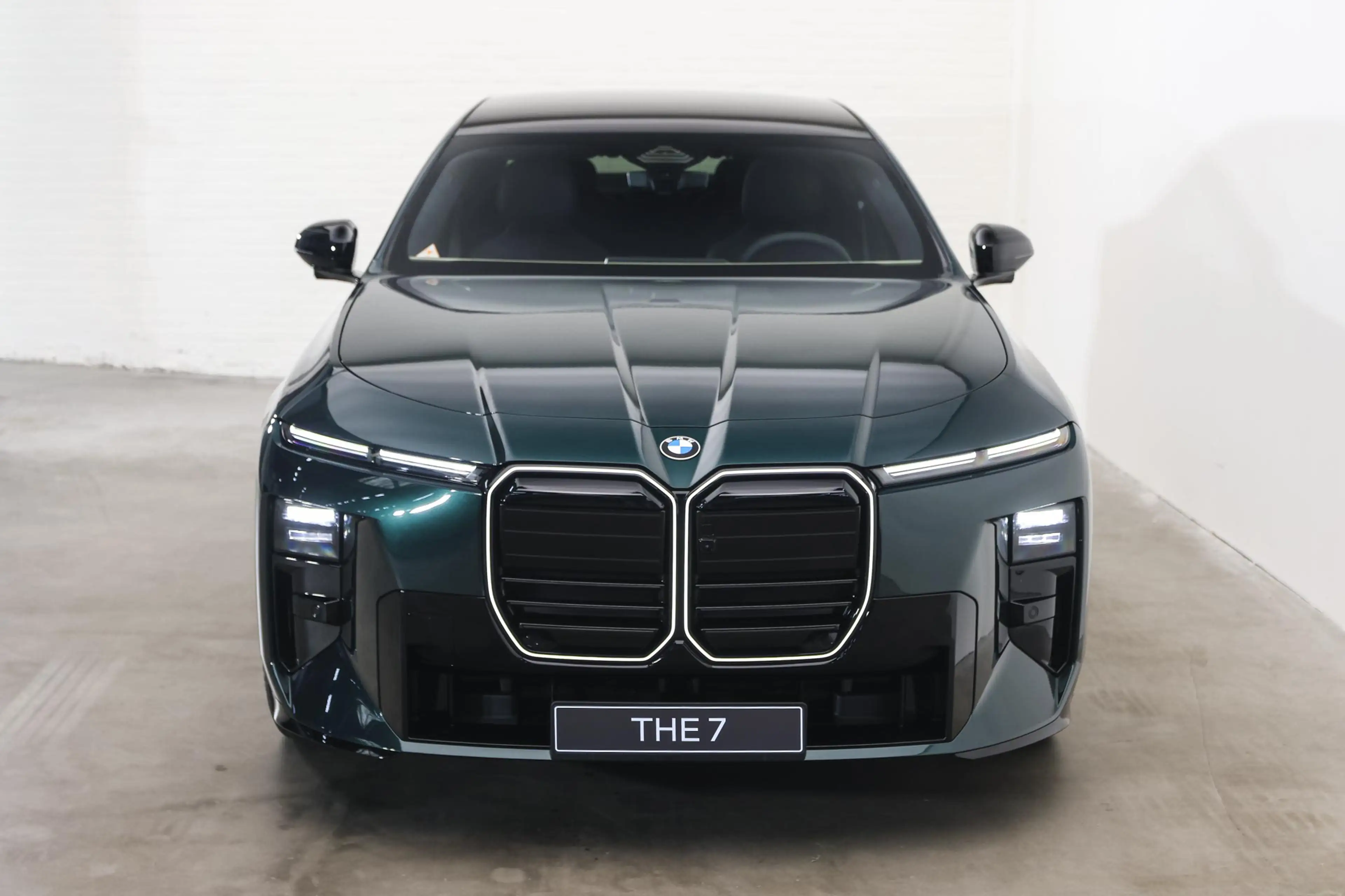 BMW i7 50 xDrive M Sport / Panoramadak Sky Lounge / Parki — photo 5