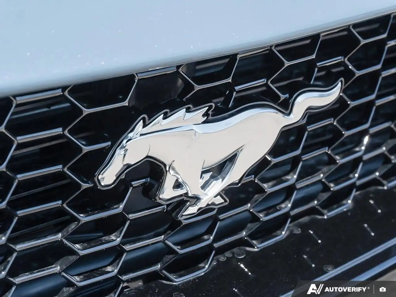 Ford Mustang снимка Ford Mustang