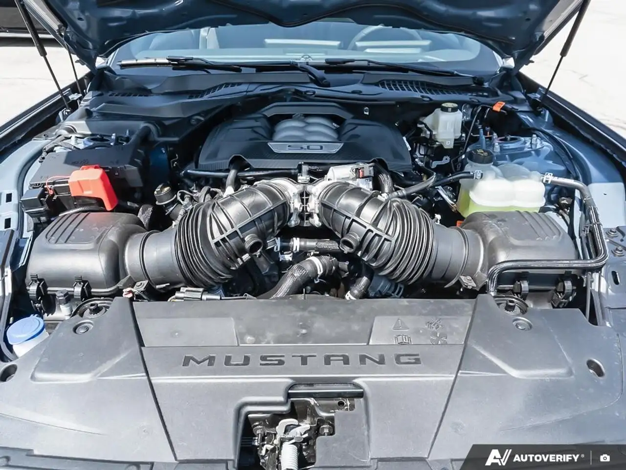 Ford Mustang снимка Ford Mustang