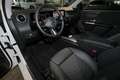 Mercedes-Benz B 200 AHK+PANO+STANDHEIZ+DISTRONIC+360°+18"+HIFI Weiß - thumbnail 9