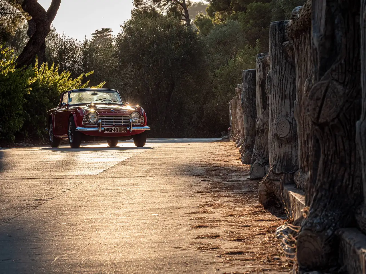 Triumph TR4 Surrey Top, foto 2