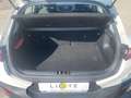 Kia Stonic 1,25 MPI ISG Österreich Edition Weiß - thumbnail 9