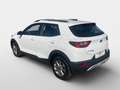 Kia Stonic 1,25 MPI ISG Österreich Edition Weiß - thumbnail 5