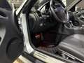 Mercedes-Benz SLK 350 AMG INTROVABILE 21900KM Argento - thumbnail 10