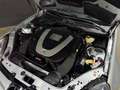 Mercedes-Benz SLK 350 AMG INTROVABILE 21900KM Argento - thumbnail 15