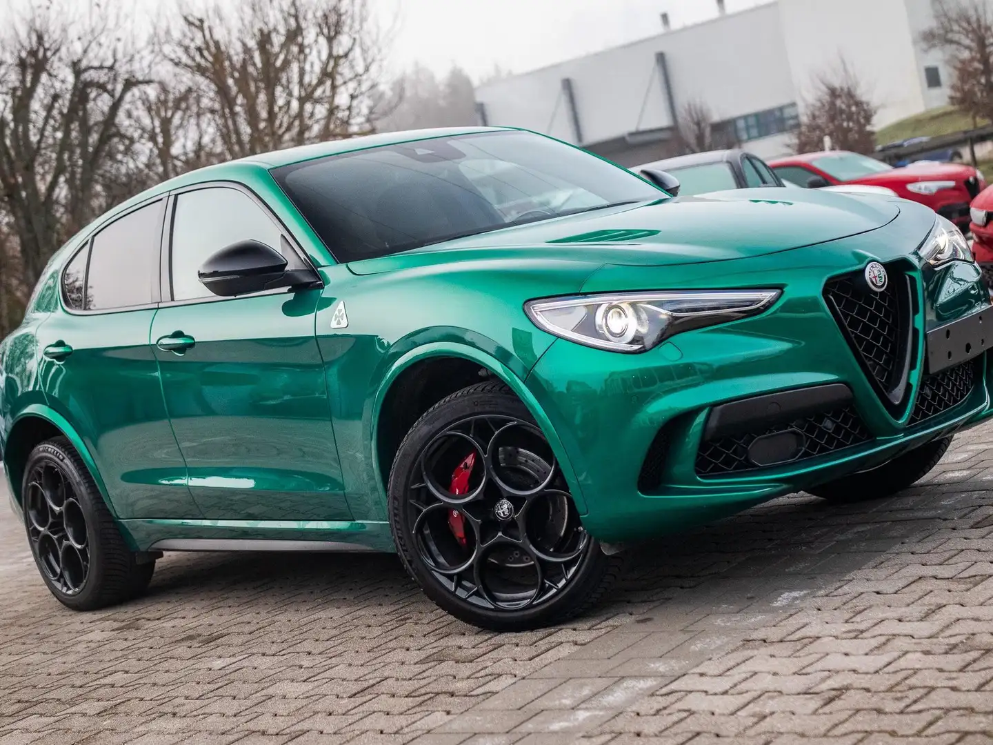 Alfa Romeo Stelvio QV 2.9 V6 Q4 21 Zoll Assistenzpaket Vert - 2
