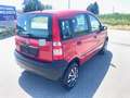 Fiat Panda 4x4 GÜLTIGES PICKERL 10-2025 Rood - thumbnail 6