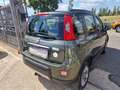 Fiat Panda III  4x4 1.3 mjt 16v 4x4 75cv SCHERMO GRANDE Verde - thumbnail 5