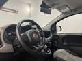Fiat Panda Panda 0.9 t.air t. Lounge AUTOMATICA Grigio - thumbnail 5