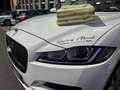 Jaguar F-Pace F-Pace Diesel 20d AWD Pure - thumbnail 7