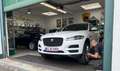 Jaguar F-Pace F-Pace Diesel 20d AWD Pure - thumbnail 2