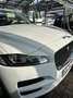 Jaguar F-Pace F-Pace Diesel 20d AWD Pure - thumbnail 13