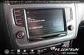 Volkswagen Polo 1.2 TSI Lounge DSG NAVI Tempomat Klima Gris - thumbnail 25
