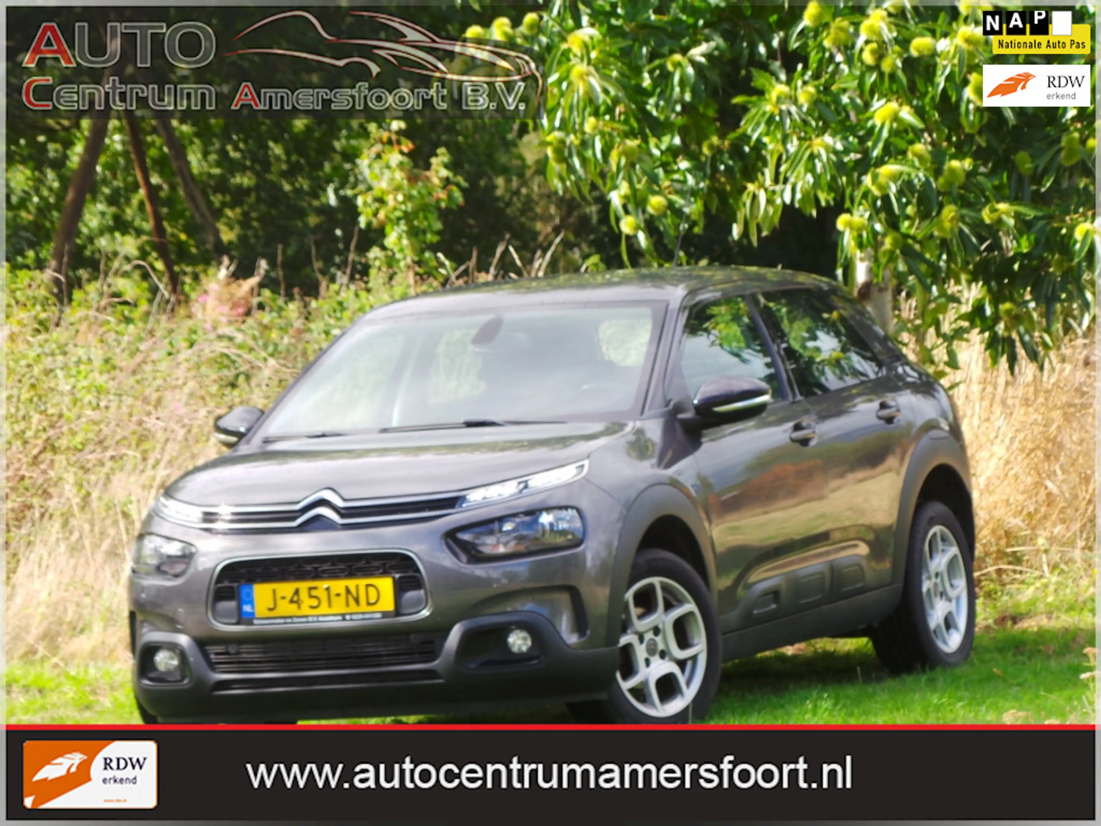 Citroen C4 Cactus 1.2 PureTech Business ( INRUIL MOGELIJK )