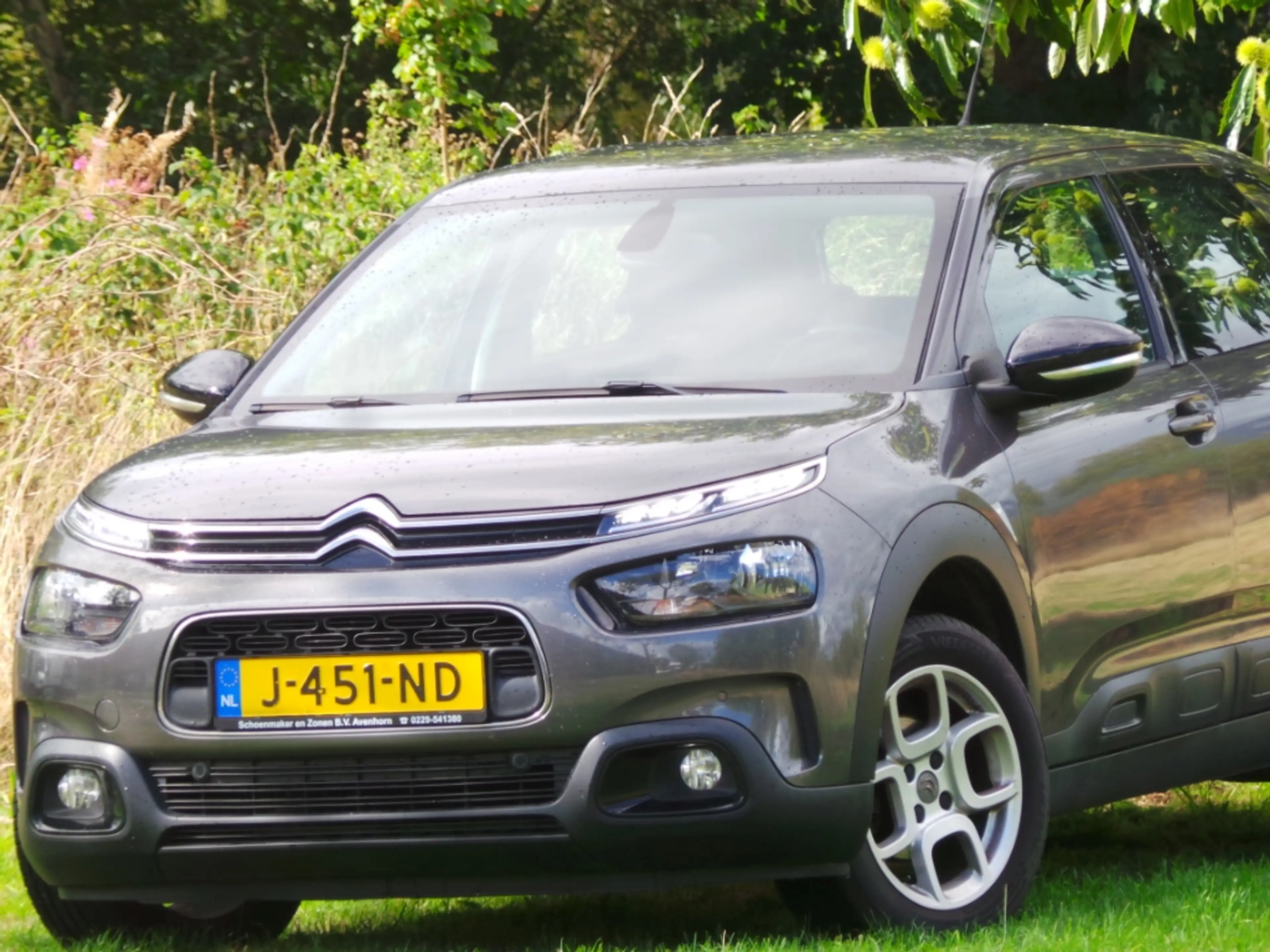 Citroen C4 Cactus 1.2 PureTech Business ( INRUIL MOGELIJK ) — photo 5
