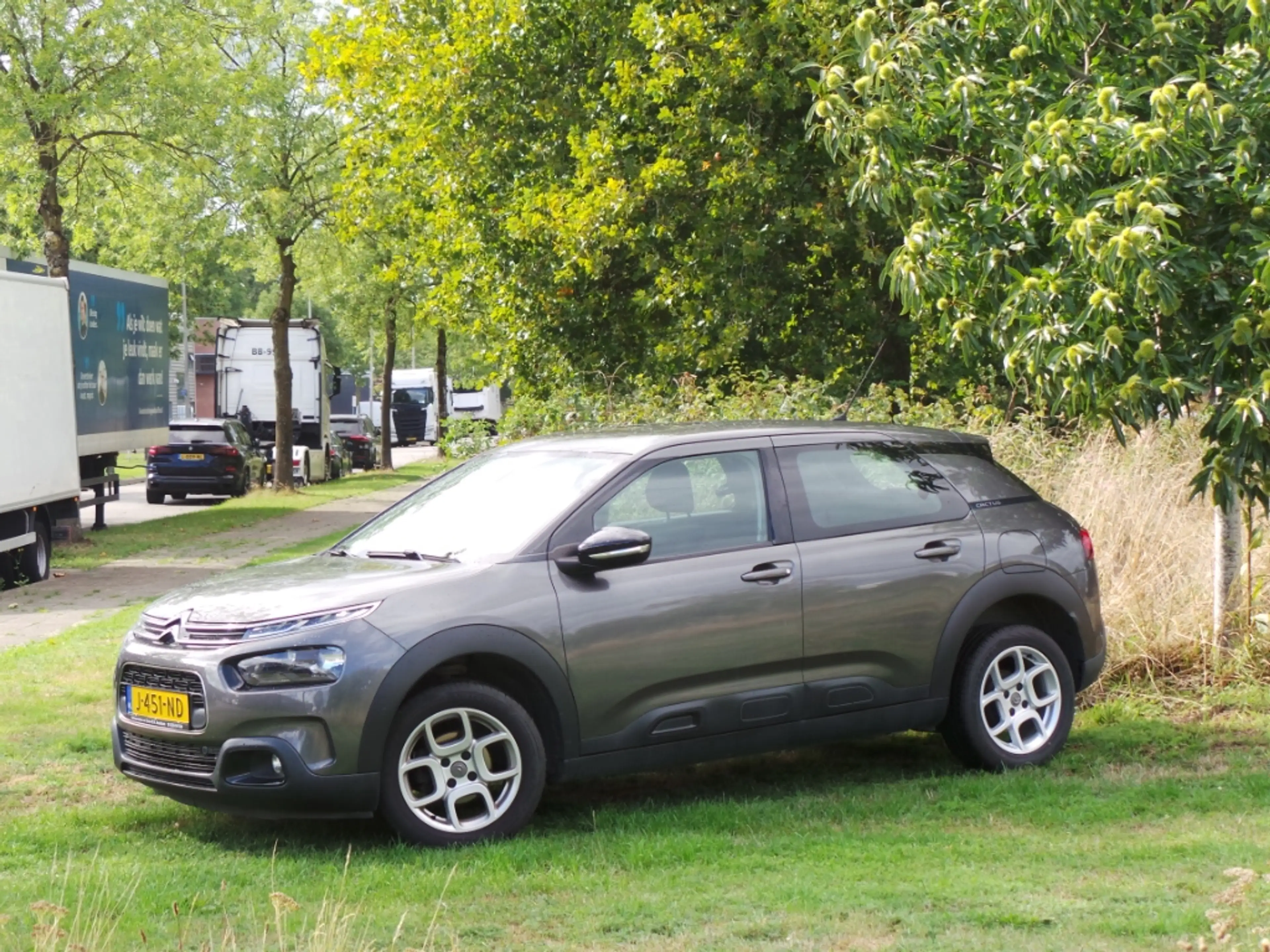 Citroen C4 Cactus 1.2 PureTech Business ( INRUIL MOGELIJK ) — photo 8