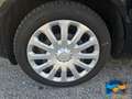 Ford Fiesta 1.5 TDCi 75CV 3 porte Business Noir - thumbnail 23
