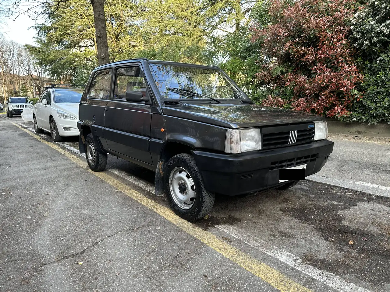 Fiat Panda I 1986 1.1 Trekking 4x4, foto 1