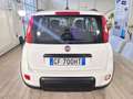 Fiat Panda 1.2 EasyPower City Life GPL Weiß - thumbnail 5