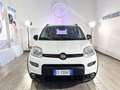 Fiat Panda 1.2 EasyPower City Life GPL Weiß - thumbnail 2