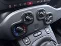 Fiat Panda 1.2 EasyPower City Life GPL Weiß - thumbnail 14