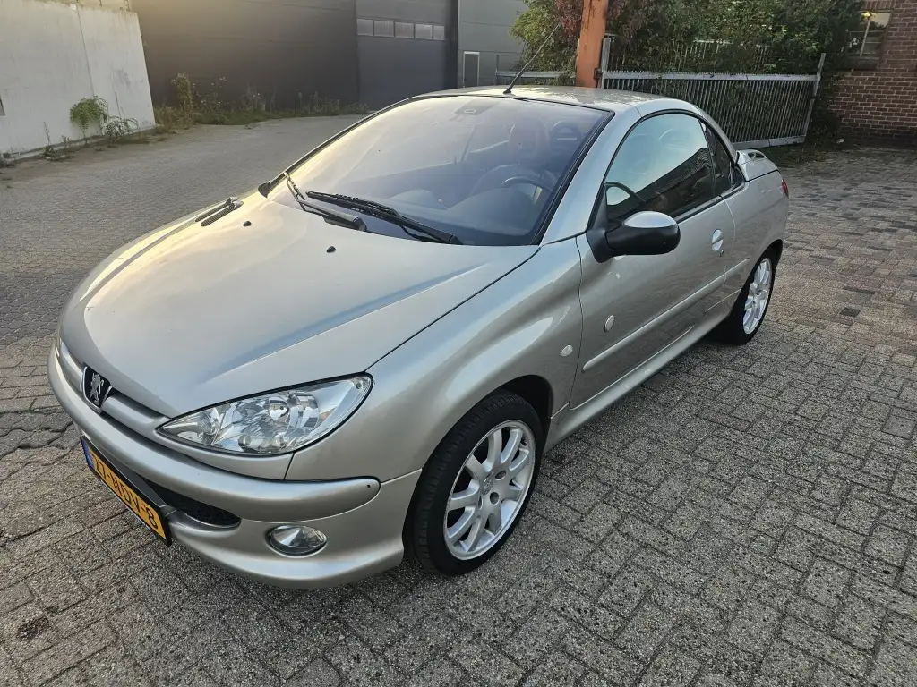 Peugeot 206 2004 из Европы — купить под ключ
