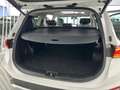Hyundai SANTA FE 2.2CRDi Tecno 7pl 4WD 8DCT Blanco - thumbnail 15
