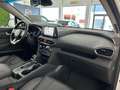 Hyundai SANTA FE 2.2CRDi Tecno 7pl 4WD 8DCT Blanco - thumbnail 18