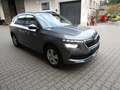 Skoda Kamiq DSG  Ambition  Kamera  LED  DAB GRA  SHZ Grau - thumbnail 5