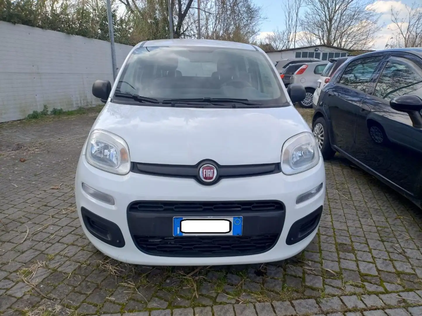 Fiat Panda 1.2 Easy Bianco - 2