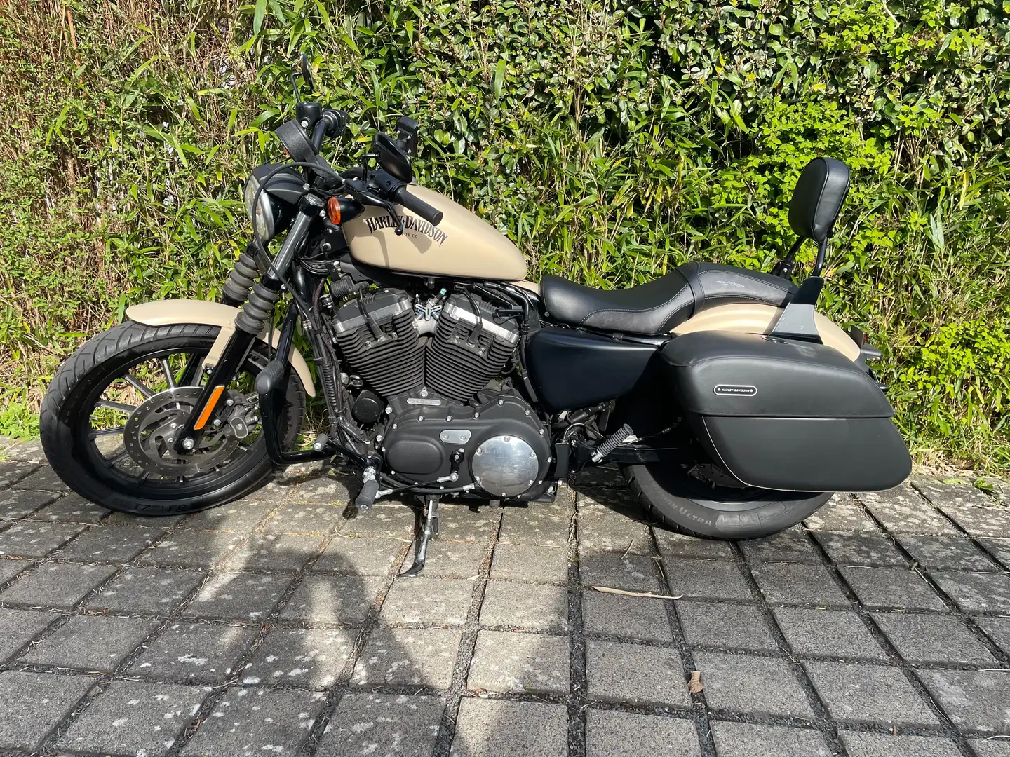 Harley-Davidson Iron 883 Bej - 1