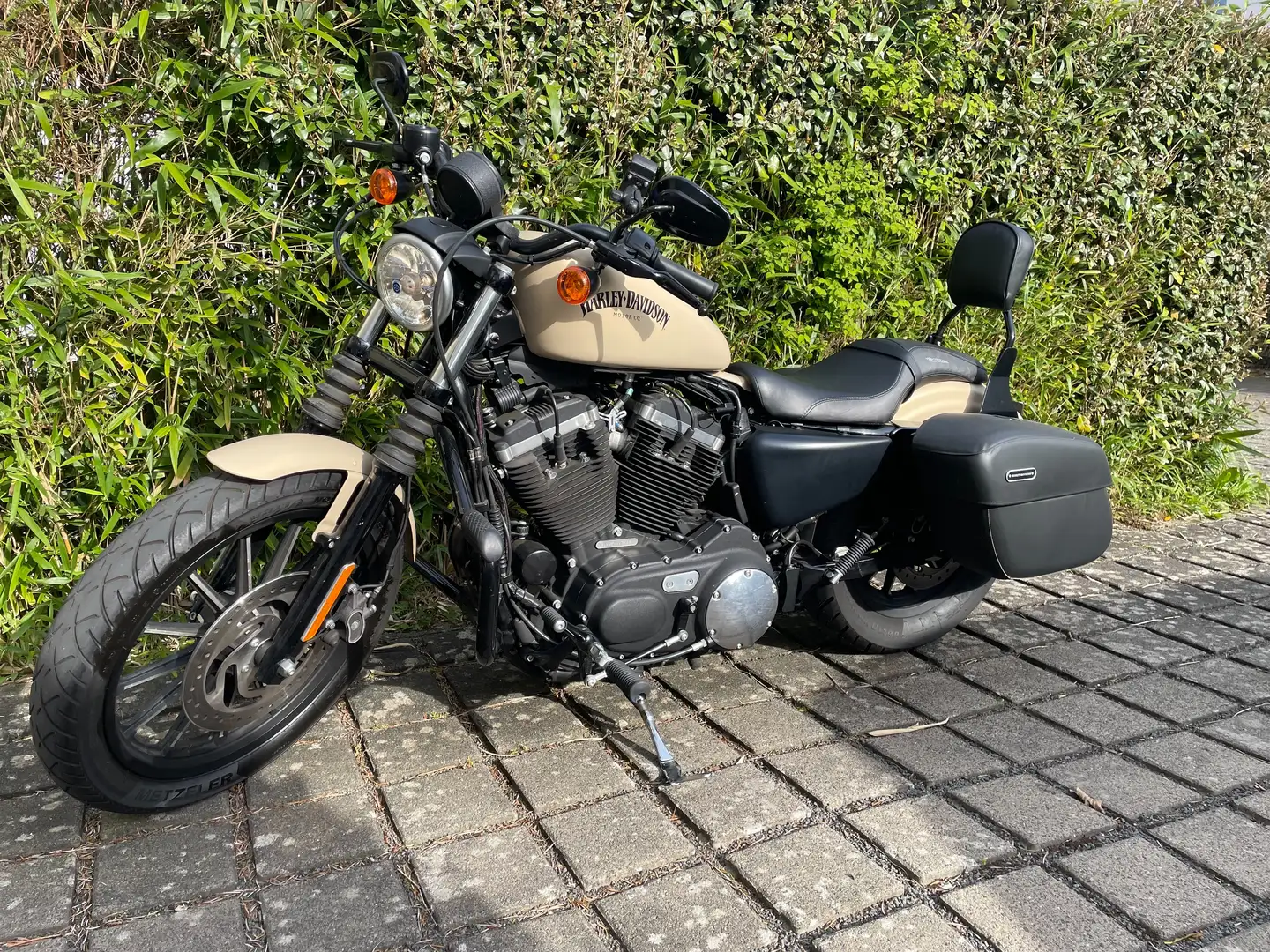 Harley-Davidson Iron 883 Bej - 2