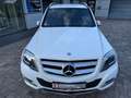 Mercedes-Benz GLK 250 CDI BlueTec 4Matic*Bi-Xenon*R-Kamera Weiß - thumbnail 13