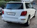 Mercedes-Benz GLK 250 CDI BlueTec 4Matic*Bi-Xenon*R-Kamera Weiß - thumbnail 8
