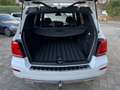 Mercedes-Benz GLK 250 CDI BlueTec 4Matic*Bi-Xenon*R-Kamera Weiß - thumbnail 14