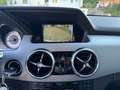 Mercedes-Benz GLK 250 CDI BlueTec 4Matic*Bi-Xenon*R-Kamera Weiß - thumbnail 28